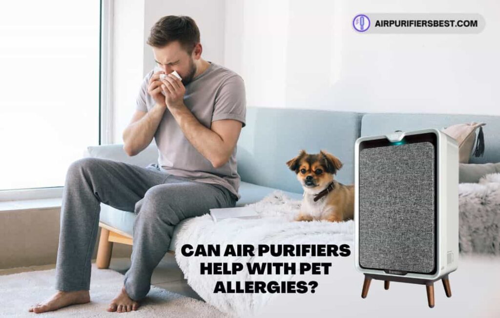 Can Air Purifiers Help With Pet Allergies