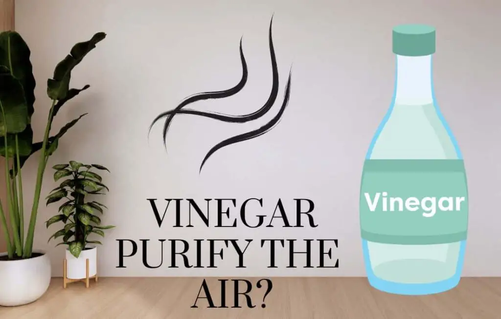 Does Vinegar Purify the Air