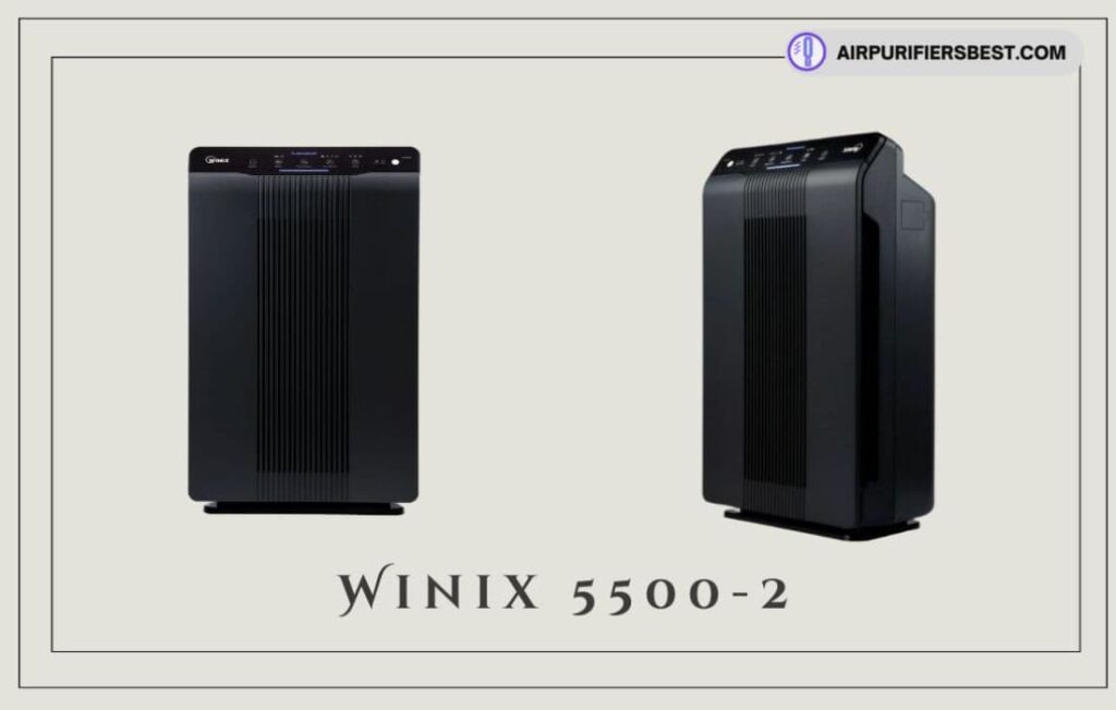 Winix 5500 2 review