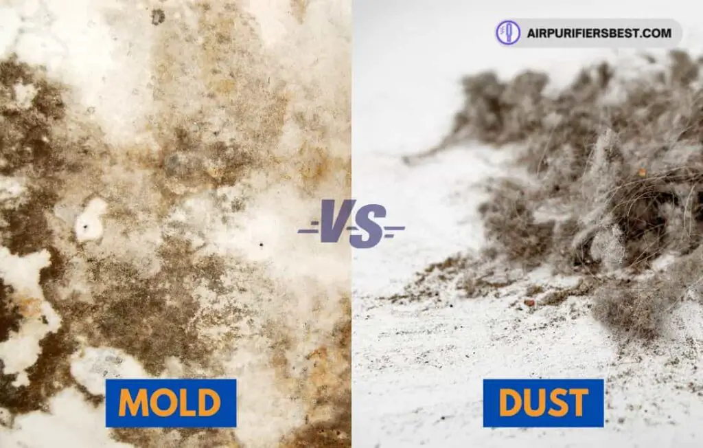 Mold vs Dust